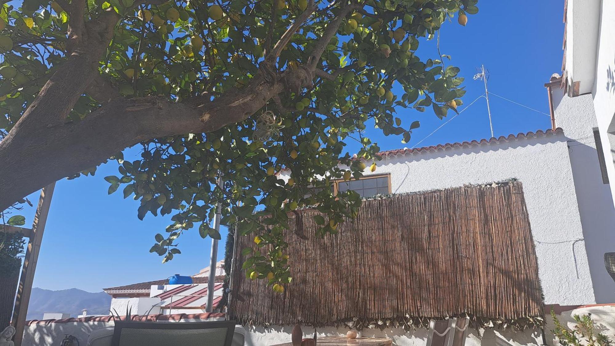 Casa Santana Segura Tejeda (Gran Canaria) Quarto foto