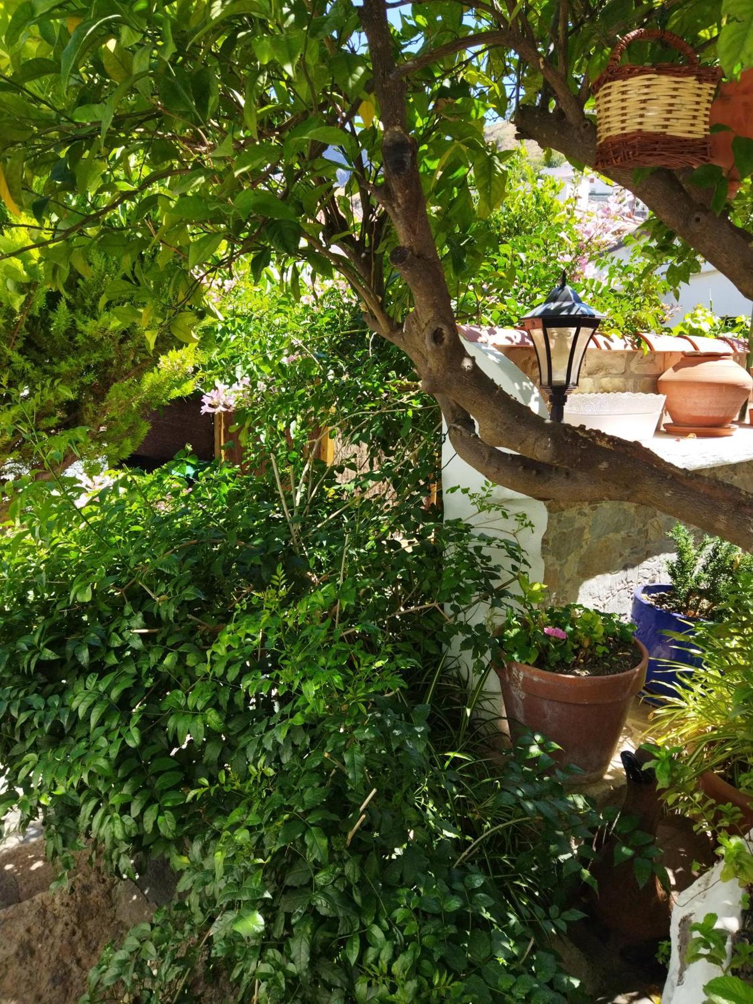 Casa Santana Segura Tejeda (Gran Canaria) Quarto foto